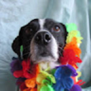 Meet your Posher, Juliana